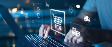 Digital Commerce Strategy and Consulting