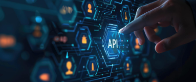 Expertise in API Integration