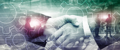 Proficient in Version Control and Collaboration