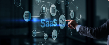 SaaS MVP development